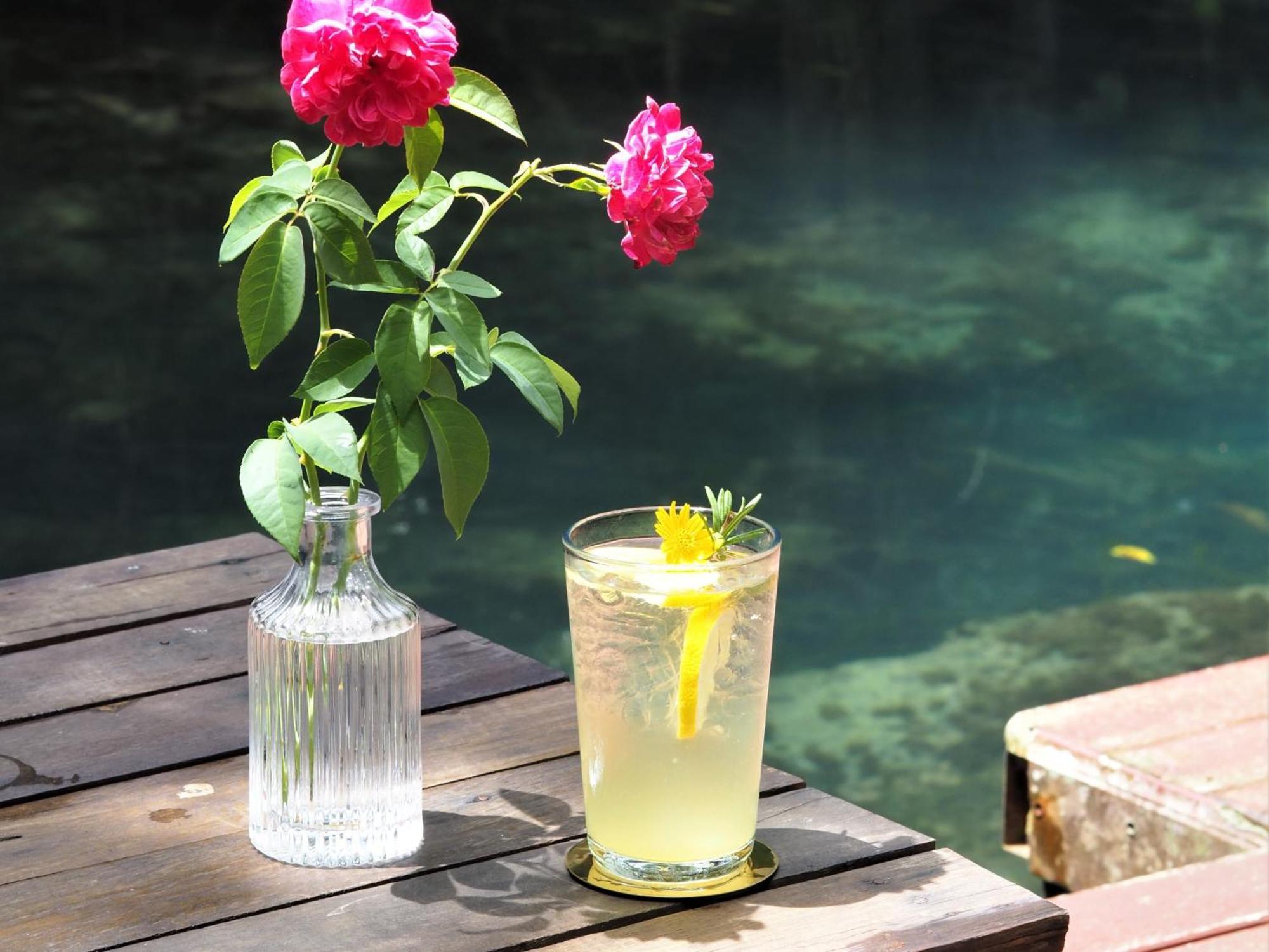 Blu Monkey Pooltara & Pet Friendly Krabi town