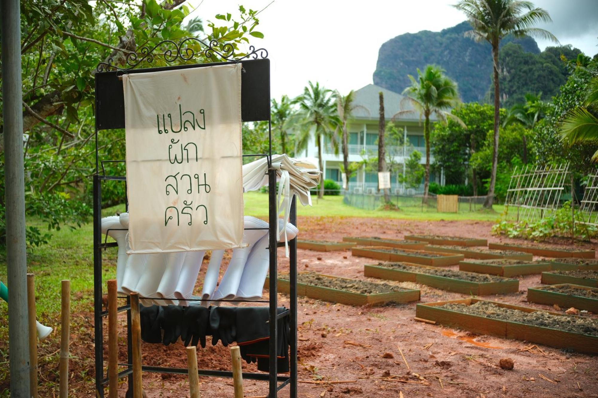Blu Monkey Pooltara & Pet Friendly 4* Krabi town