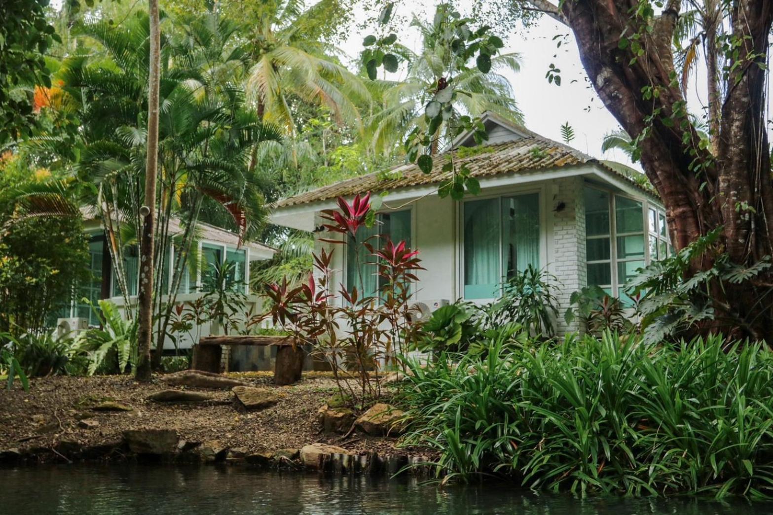 Blu Monkey Pooltara & Pet Friendly Krabi town